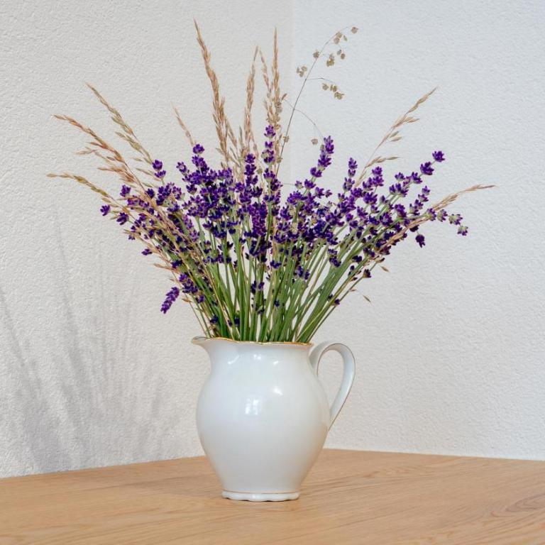 Ferienwohnung Zweite Heimat - Apartment mit 2 Schlafzimmern - 30
