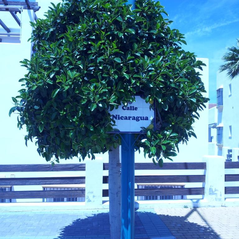 Valle Romano GOLF CAPITOLIO ESTEPONA - Apartamento de 2 dormitorios - 35