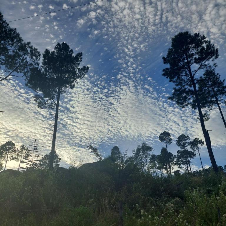 Árbol de Oro - Terrafirme - One-Bedroom Chalet - 22