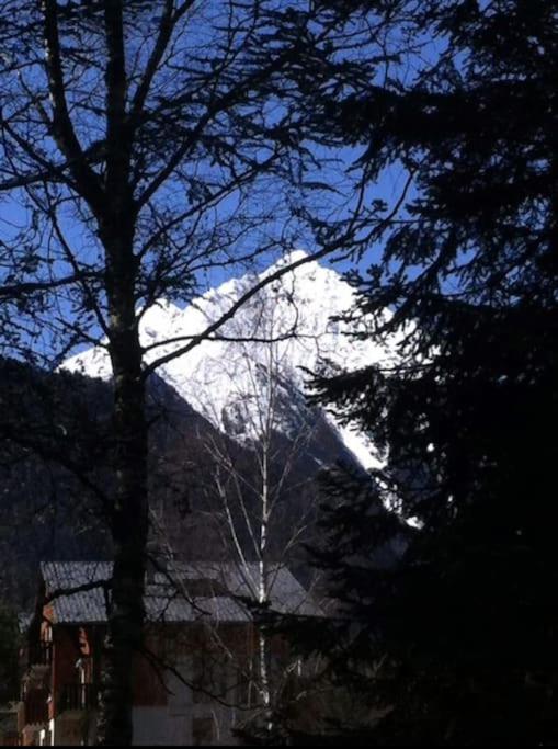 Superbe Appart 4 Pers Saint Lary - Apartment mit 1 Schlafzimmer - 7