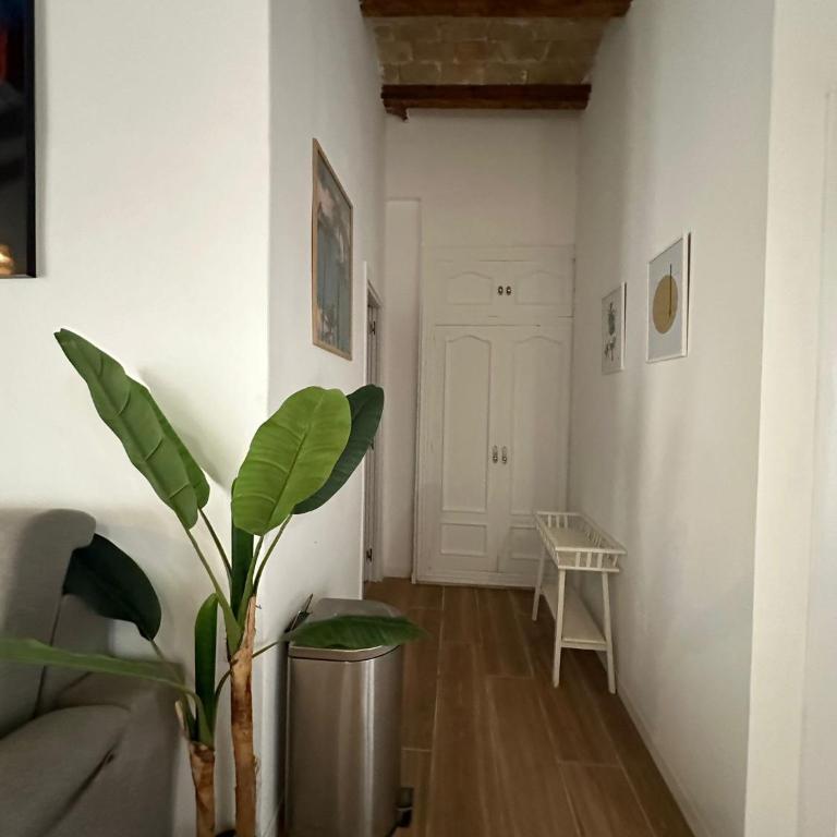 Plaza San Nicolas GAM - Five-Bedroom Deluxe Apartment - 13
