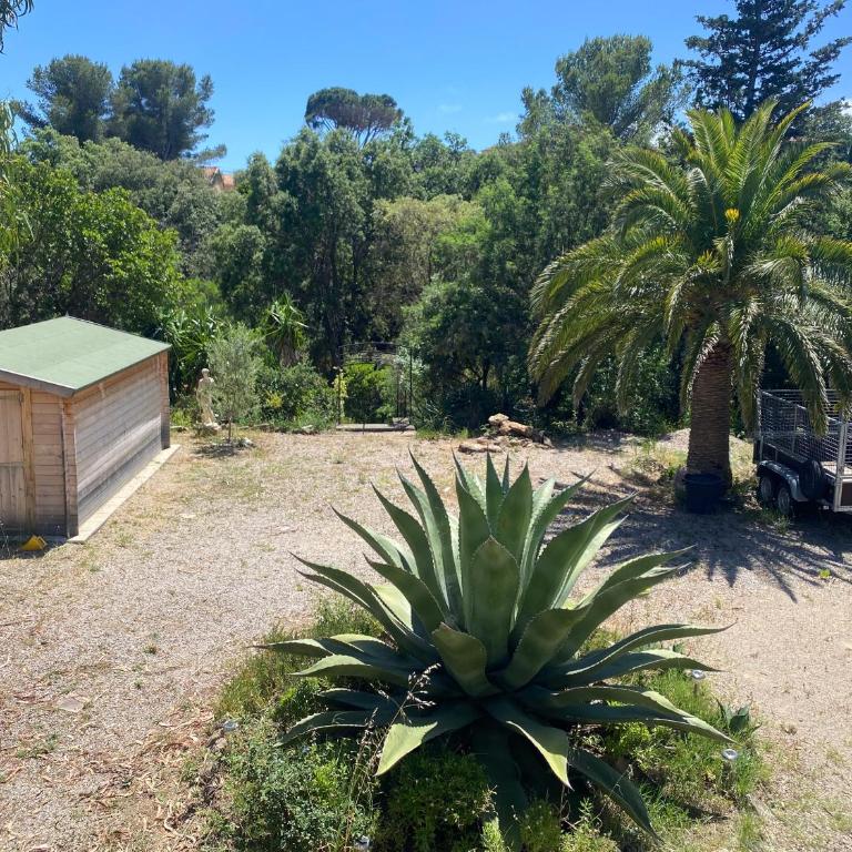 Chez Madou, T1 en bas de villa et rez de jardin à 900m de la mer et des commerces - Appartamento con 1 Camera da Letto - 10