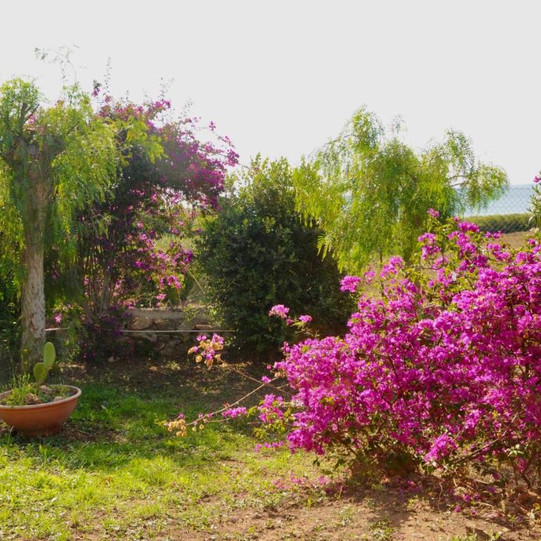 Elorina Casa Vacanze Birri sul mare Vendicari Noto - Casa con 4 camere da letto - 9