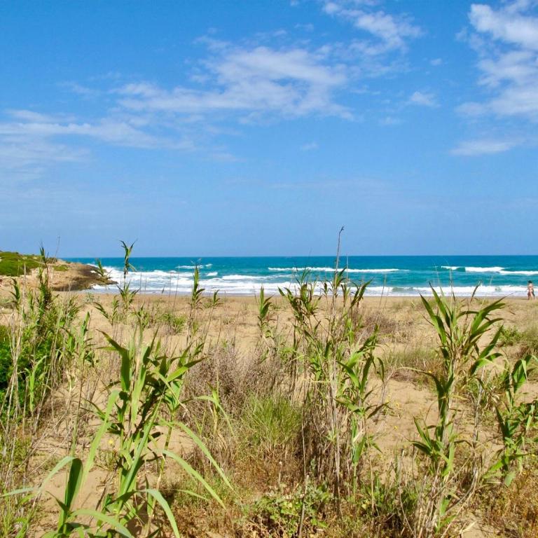 Elorina Casa Vacanze Birri sul mare Vendicari Noto - Casa con 4 camere da letto - 3