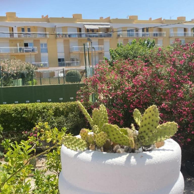 Chalet Denia playa primera linea - Four-Bedroom House - 38