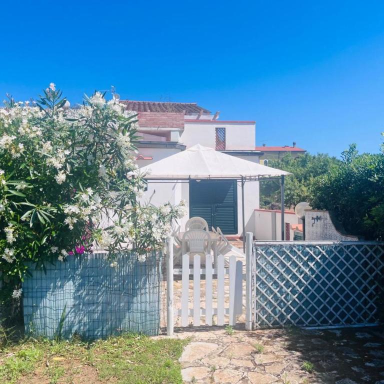 Giglio D'Oro - Elba Affitti - Appartamento con 1 Camera da Letto - 11