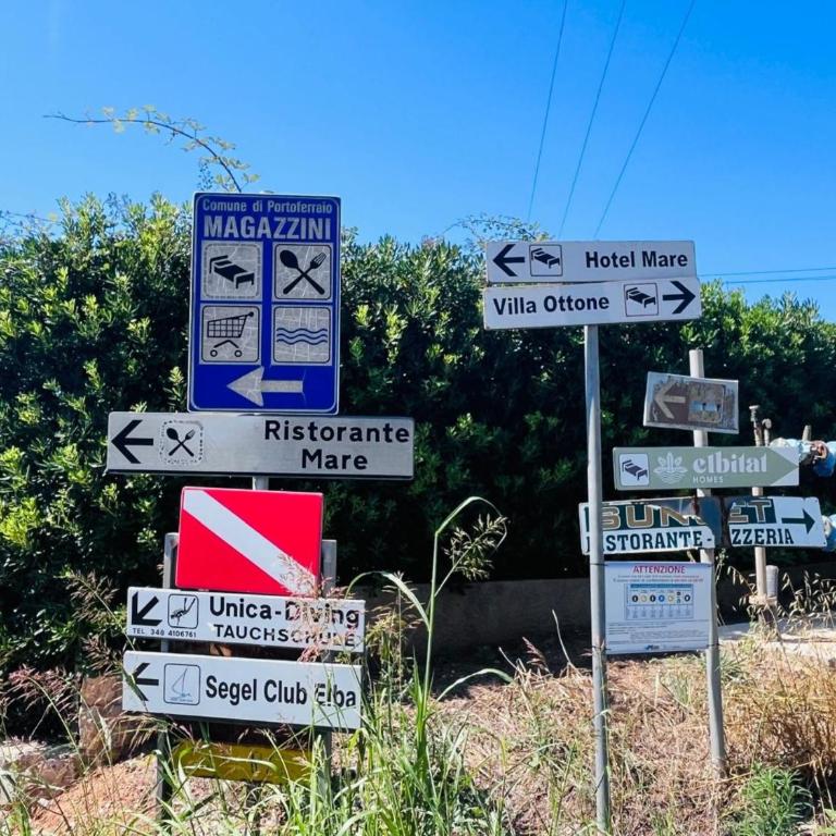 Giglio D'Oro - Elba Affitti - Appartamento con 1 Camera da Letto - 16