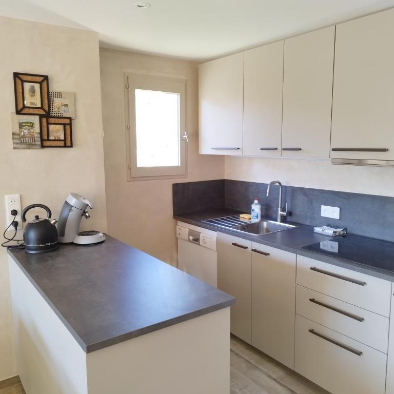 Les GRANDES ONDINES appartement avec accès direct à la plage et petite vue mer - Appartement 2 Chambres - 2