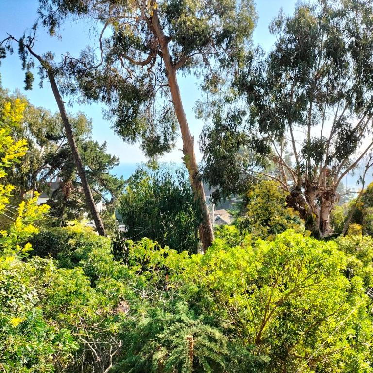 Hospedaje "EL colorado" - One-Bedroom Apartment - 16