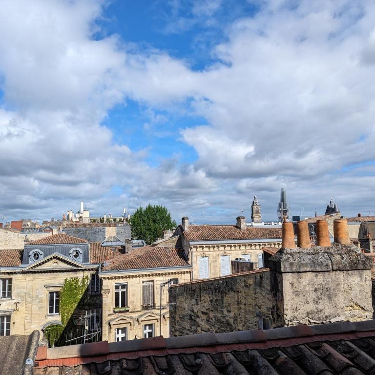 Cocon lumineux sous les toits de Bordeaux - Chambre Deluxe (2 Adultes + 1 Enfant) - 1