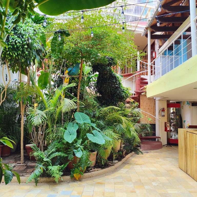 Hotel Barrio Antiguo - Standard Double Room with Two Double Beds - 1