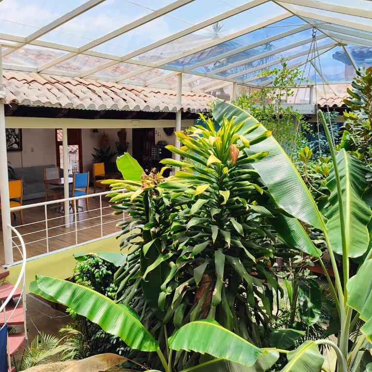 Hotel Barrio Antiguo - Standard Double Room with Two Double Beds - 5