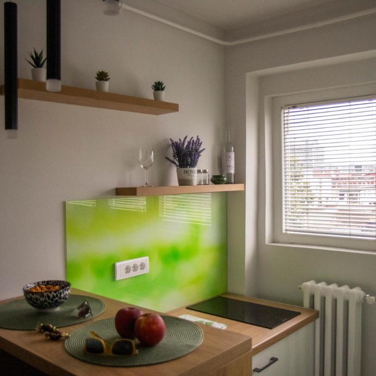 Apartment Ivon - Apartman sa 1 Spavaćom Sobom - 21