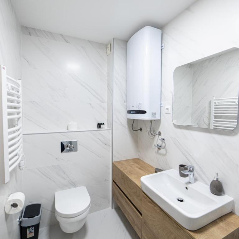 New City Luxury Apartments - Deluks Apartman sa 1 Spavaćom Sobom i Pogledom na Grad - 20