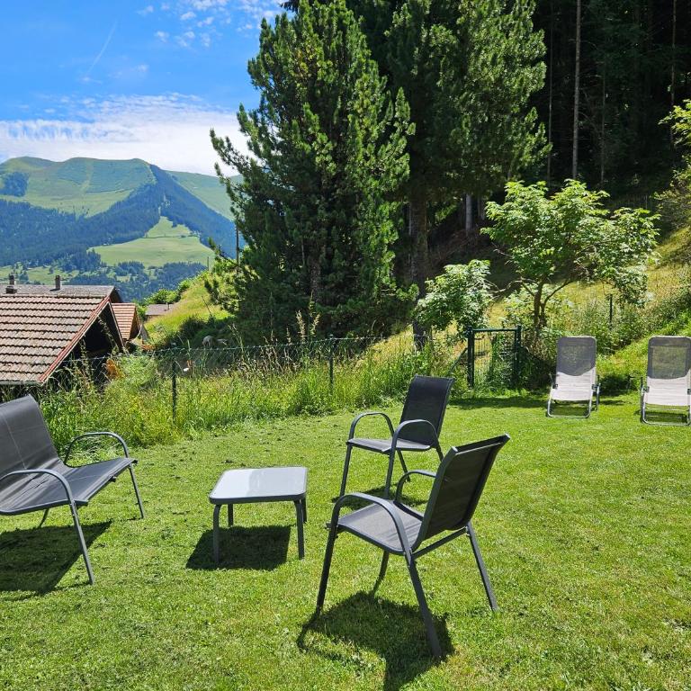 Sweet & Cosy Chalet in the heart of the Swiss Alps - Apartment mit 2 Schlafzimmern - 12
