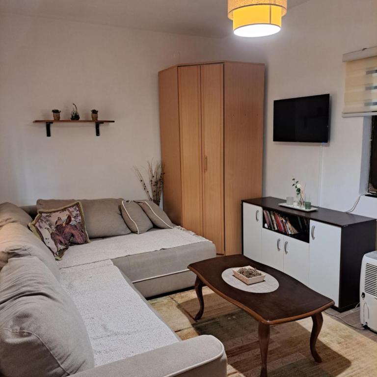 Veronika - One-Bedroom Apartment with Terrace - 6