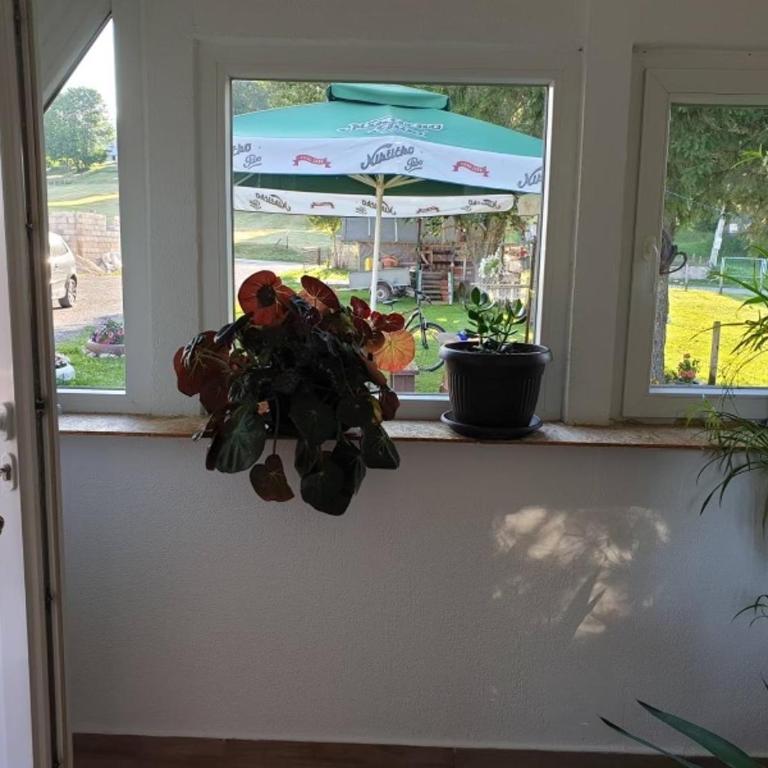 The Secret Garden Retreat - One-Bedroom House - 14