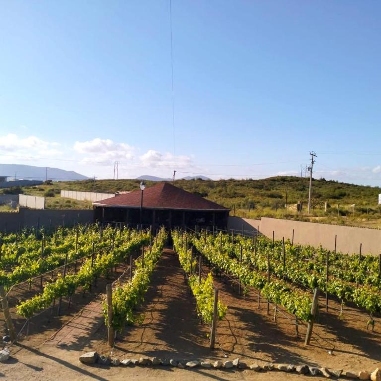 Quinta Lorame Departamento Cabernet - Apartamento de 1 dormitorio - 27