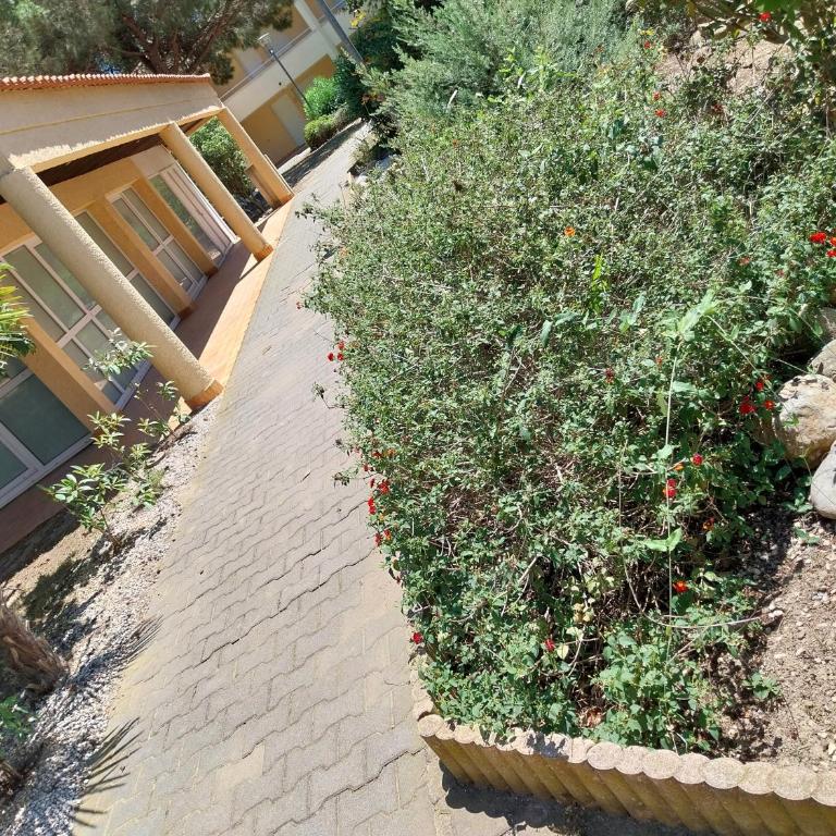 Le Petit Coeur à Canet - Superbe T2 piscine, tennis, climatisation, parking privé - Apartamento de 1 dormitorio - 47