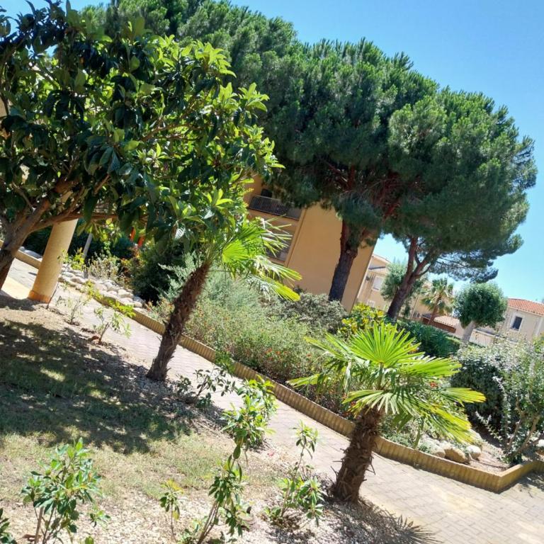 Le Petit Coeur à Canet - Superbe T2 piscine, tennis, climatisation, parking privé - Apartamento de 1 dormitorio - 30