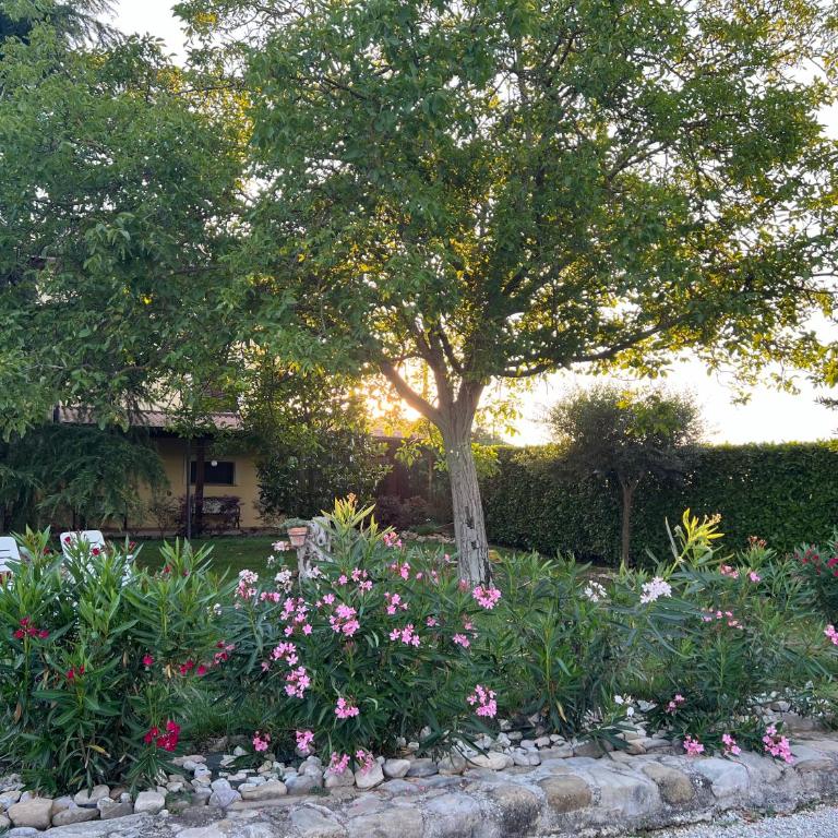 Assisi, la Noce - Appartamento con 1 Camera da Letto - 23