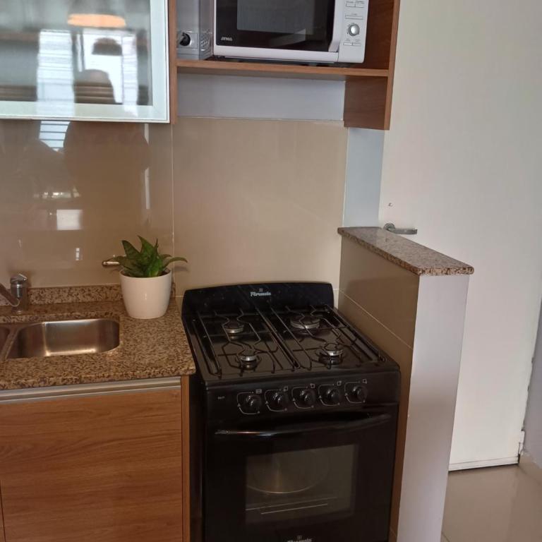 Depto céntrico excelente ubicación, con cochera, pileta y patio - Apartamento con vistas al jardín - 31