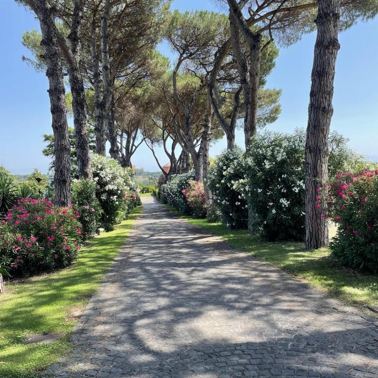 Cottages 995 #1 - Casa Vacanze - 1