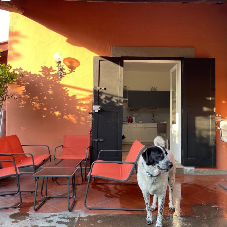 Cottages 995 #1 - Casa Vacanze - 4