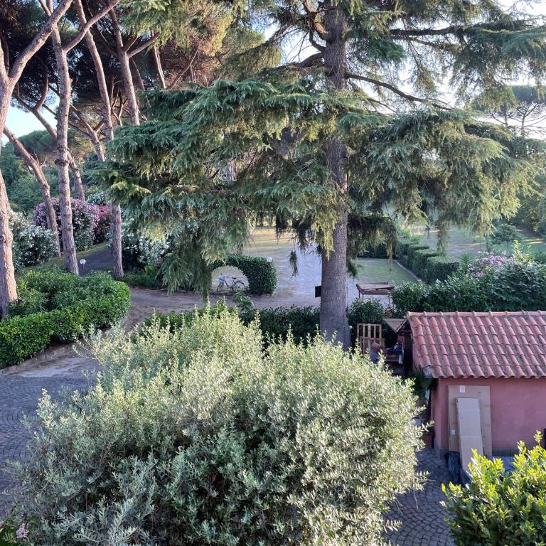 Cottages 995 #1 - Casa Vacanze - 8