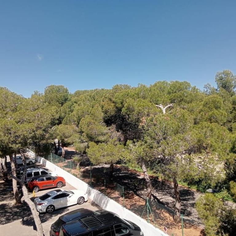 AT Playa Port Blau Edison - Apartamento de 2 dormitorios con terraza y vistas al mar - 9