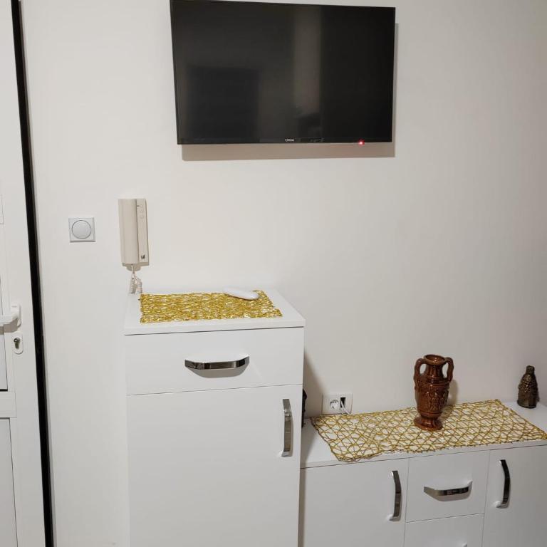 Apartmani Milenkovic - Apartman s 1 Spavaćom Sobom i Terasom - 5