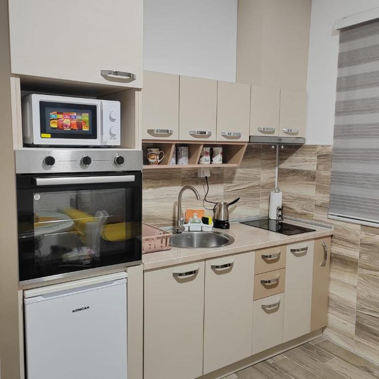 Apartmani Milenkovic - Apartman s 1 Spavaćom Sobom i Terasom - 6