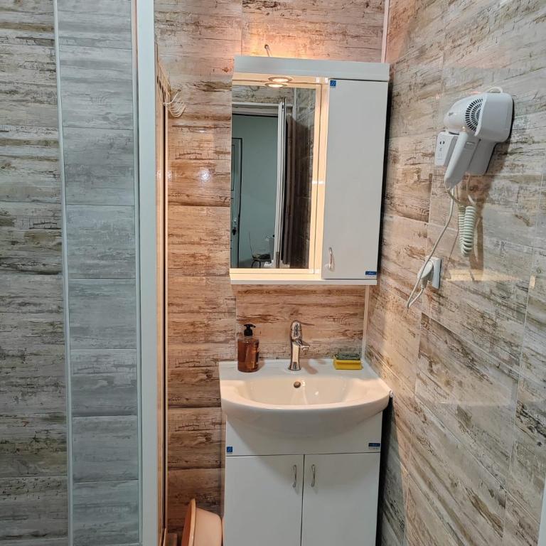 Apartmani Milenkovic - Apartman s 1 Spavaćom Sobom i Terasom - 8
