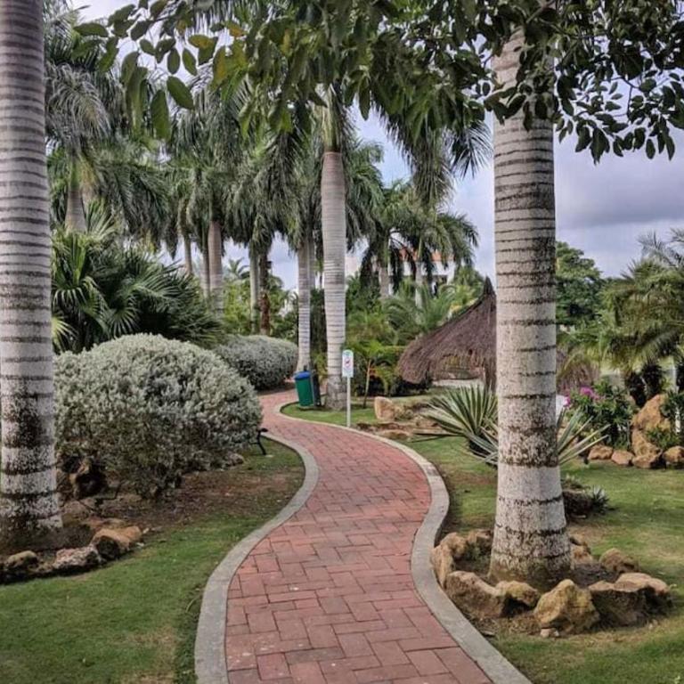 Hermoso Apartamento, muy cómodo y equipado - Apartamento de 2 dormitorios - 46