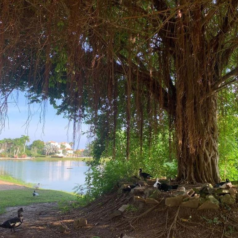 Hermoso Apartamento, muy cómodo y equipado - Apartamento de 2 dormitorios - 39