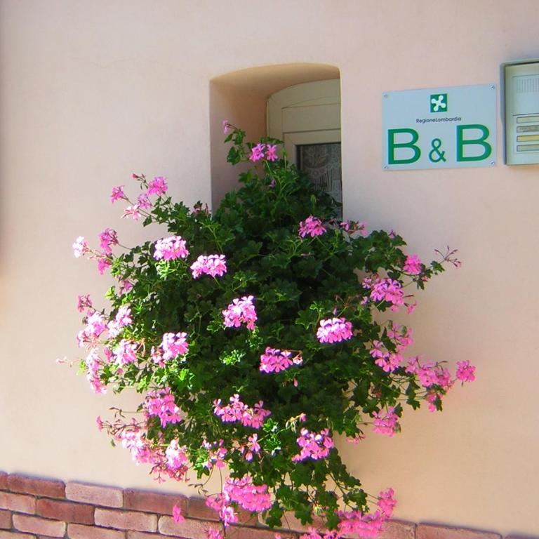 B&B da-di - Camera Tripla Comfort con Doccia - 3
