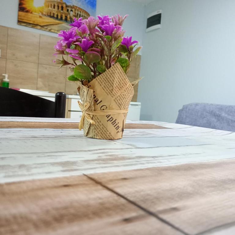 Serenita Stone House - Apartman - 8
