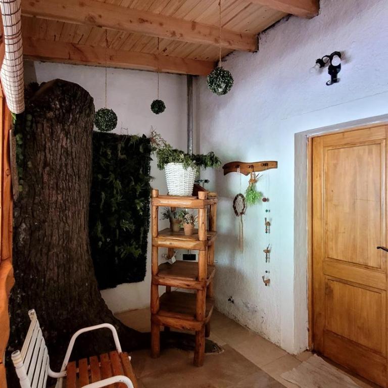 EL Mirador-Casa Ciprés - Chalet Superior - 14