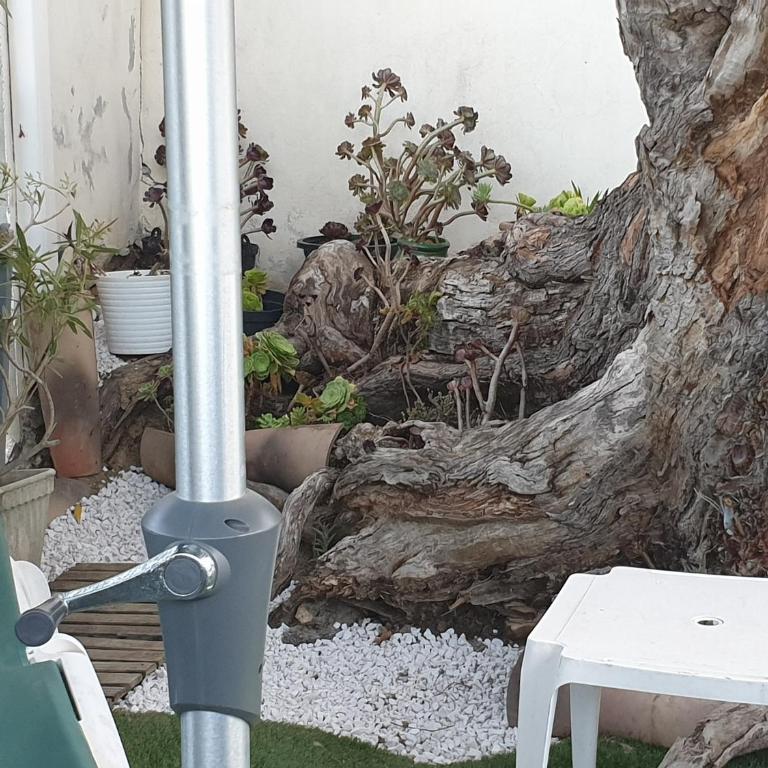 Les Restanques du Sud - Appartement avec Terrasse - 9