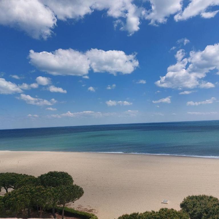 Appartement Duplex Climat' 3 pièces, proche plage à Argelès, terrasse, parking, WIFI, 6 pers - FR-1-776-1 - Appartement - 11