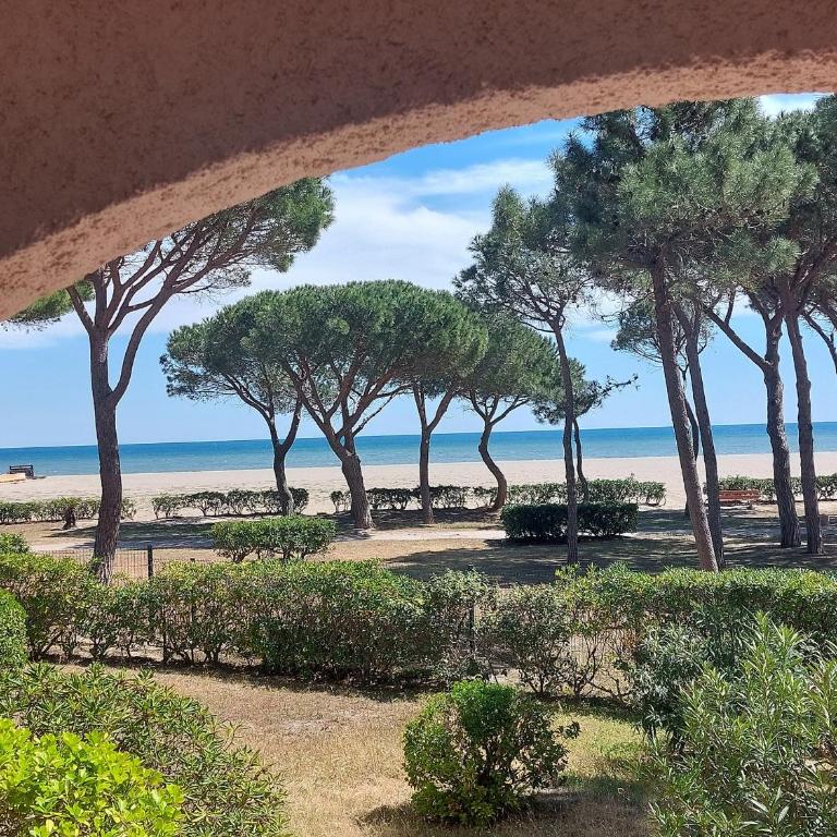 Appartement 3 pièces pour 4 avec piscine, terrasse et parking privé à 400m de la plage à Argelès-sur-Mer - FR-1-776-21 - Appartement - 3