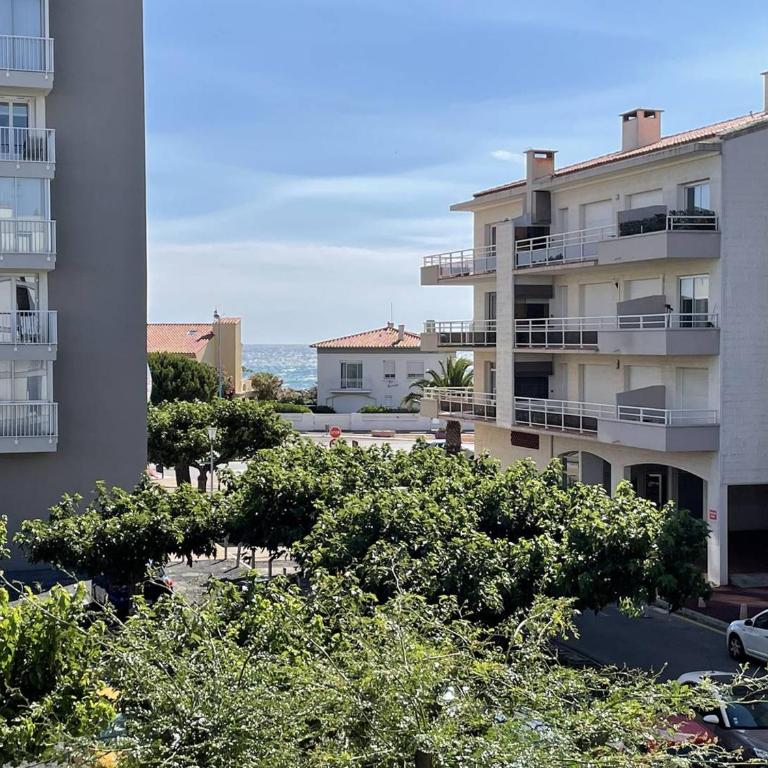 Appartement T3 Climatisé, 6 Pers, Proche Plage et Commerces, Parking Privé, Animaux Admis - FR-1-106-104 - Apartment - 14