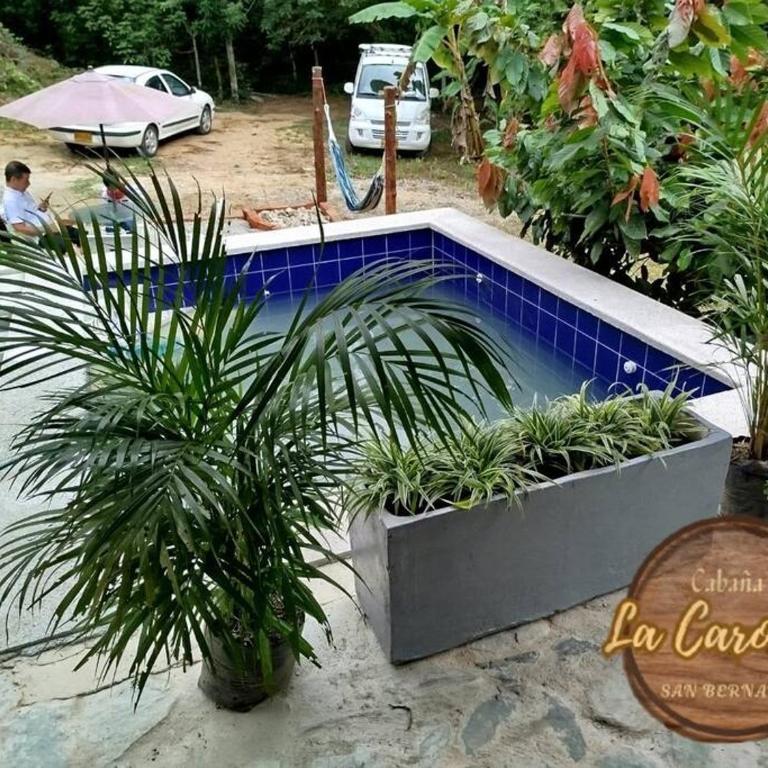 Cabaña La Carolina - Apartamento de 1 dormitorio - 14
