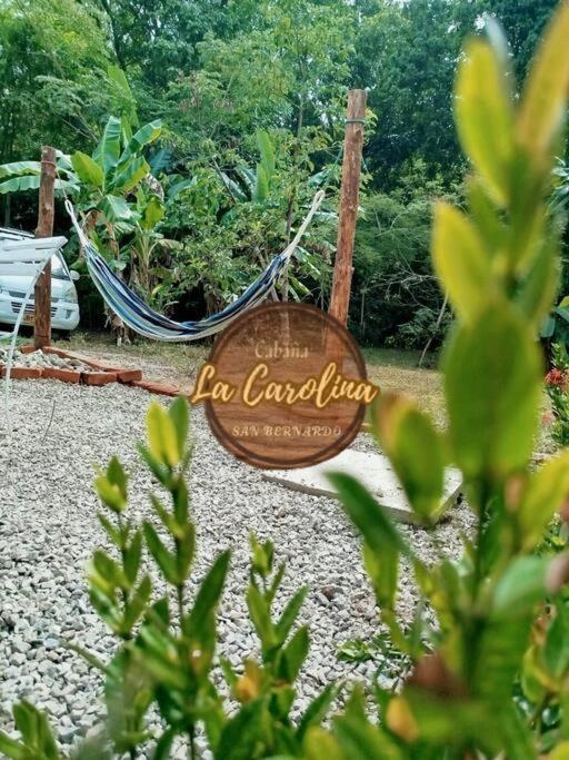 Cabaña La Carolina - One-Bedroom Apartment - 33