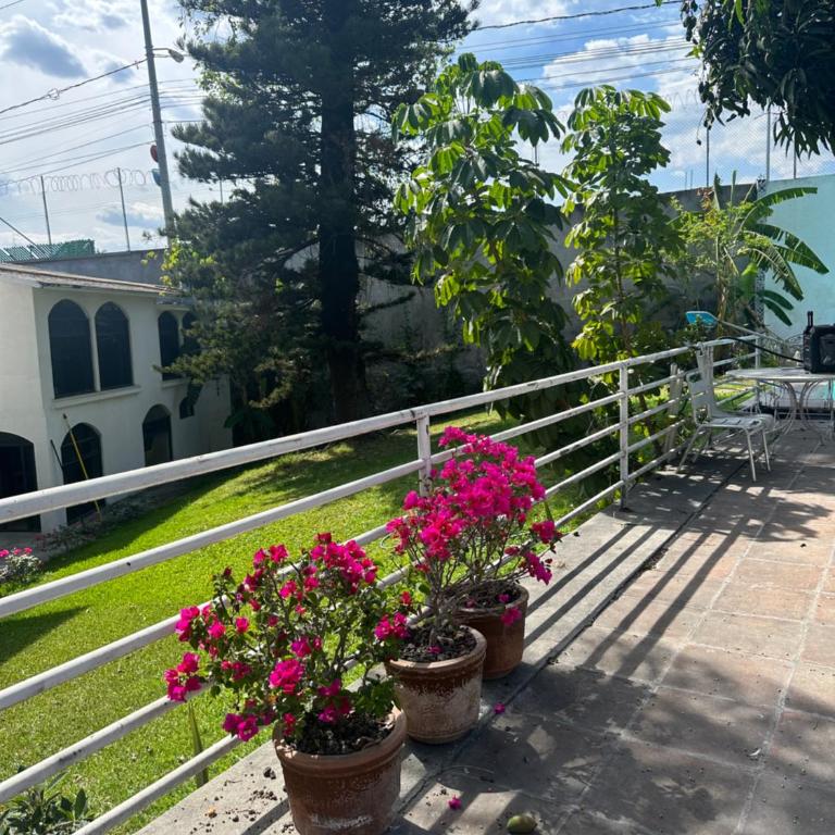 Casa Camelina - Apartamento de 1 dormitorio - 4