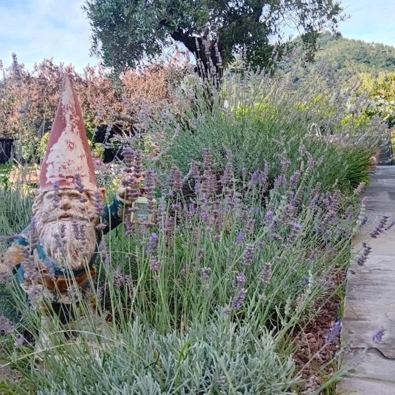 Villa la provenzale - Villa con 3 Camere da Letto - 45