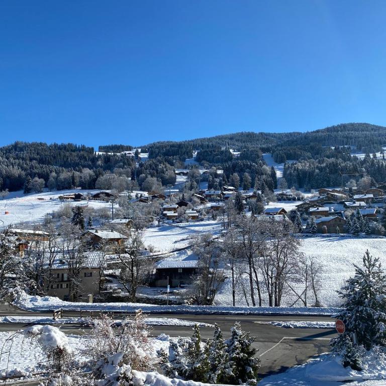 Appartement 71m2 près de Megève, à 200m télécabine la Princesse, local à ski, 2 chambres, parking couvert - Appartement 2 Chambres avec Balcon et Terrasse - 44