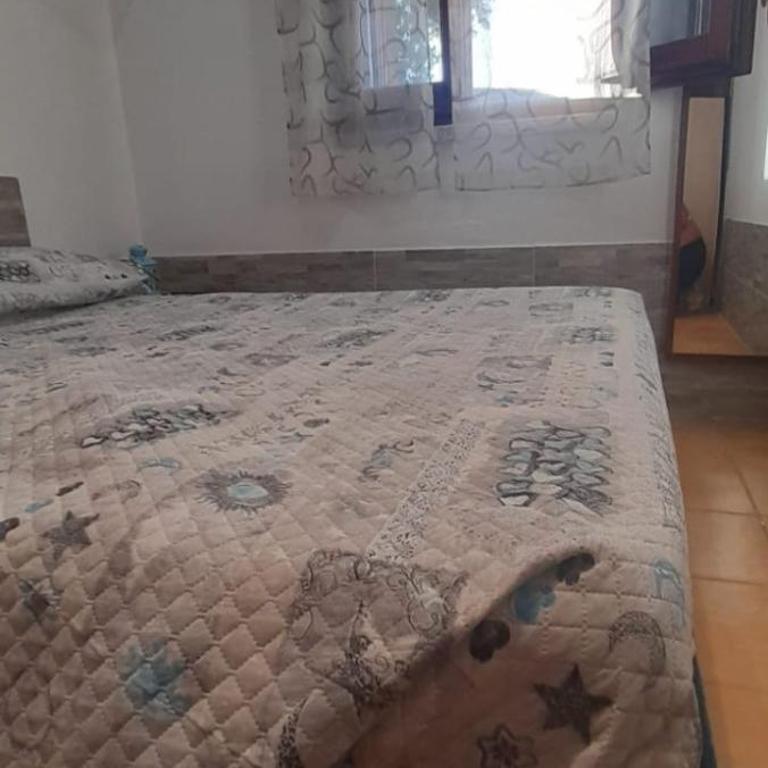 Appartamento residence Tartaruga 3 - Appartamento - Piano Terra - 15