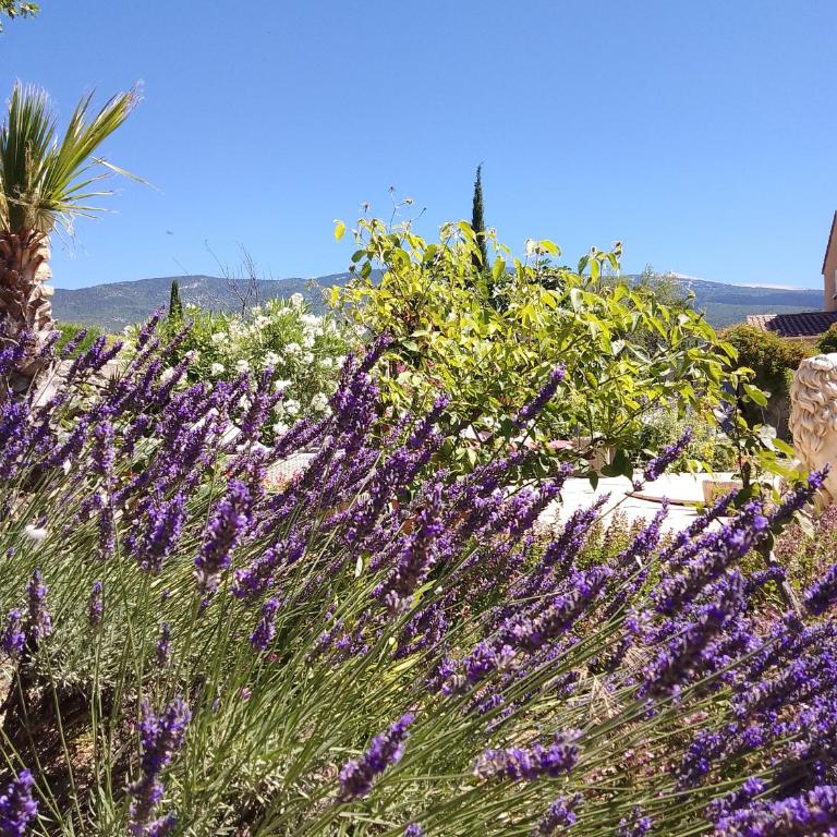 Les Gites du Mont Ventoux - Casa con 2 Camere da Letto - 45