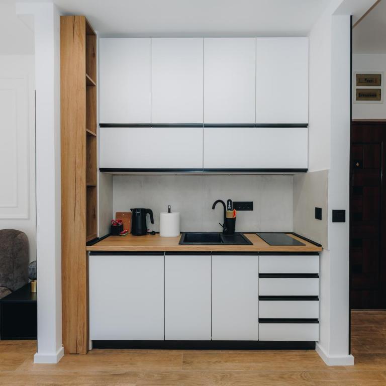 Zuma Lux Apartments - One-Bedroom Apartment - 13